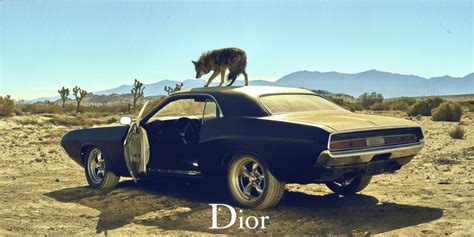 sauvage dior depp car